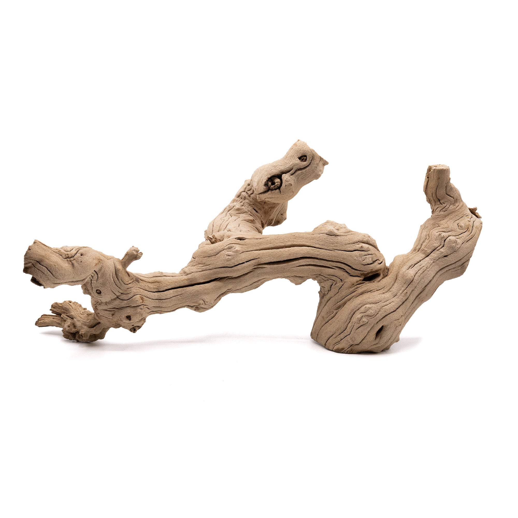 Pangea Sandblasted Grapevine